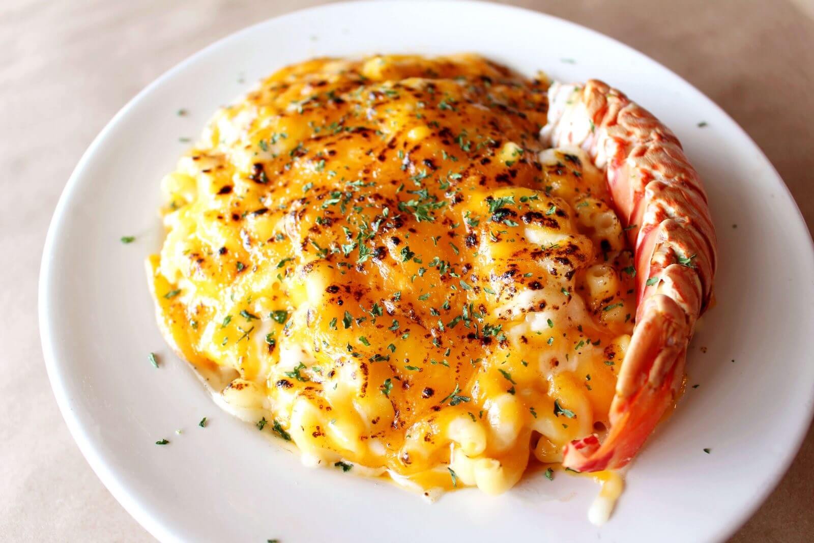 Exquisite lobster with Mac and Cheese