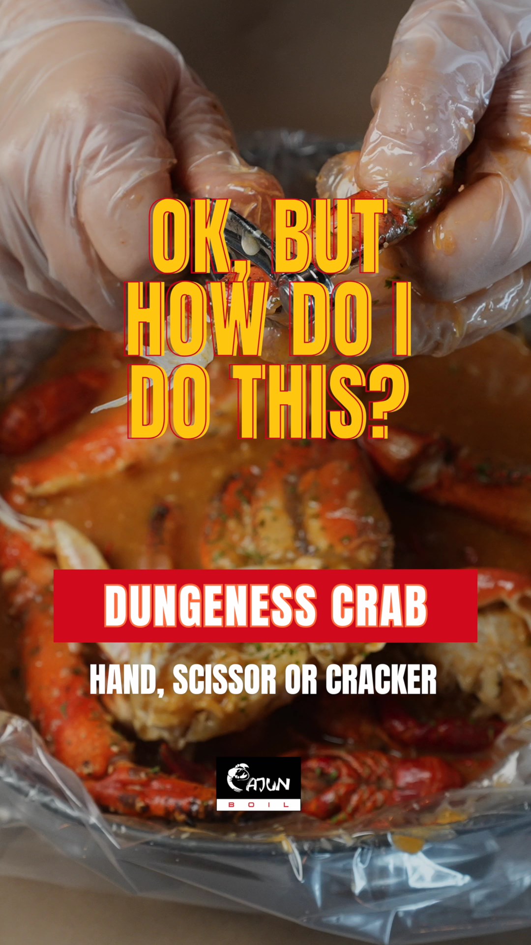 Cover Dungeness Crab
