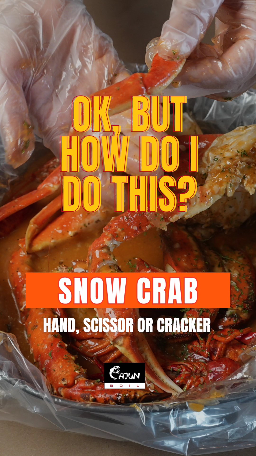 Cover Snow Crab